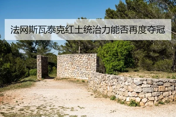 fa-wang-si-wa-tai-ke-hong-tu-tong-zhi-li-neng-fou-zai-du-duo-guan-2-230.jpg